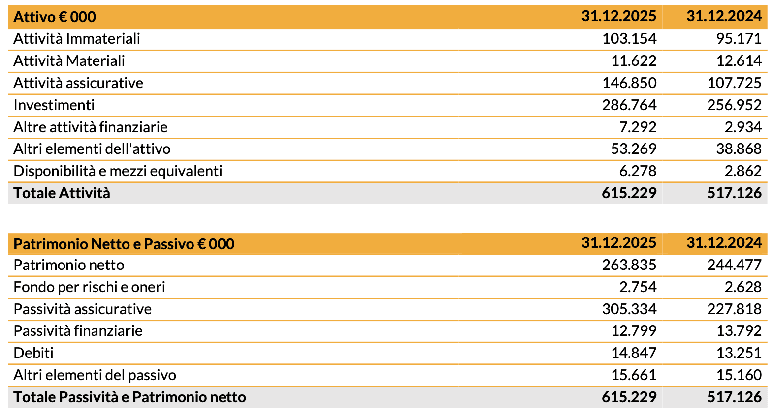 20260316 - risultati finanziari 2025 - img6