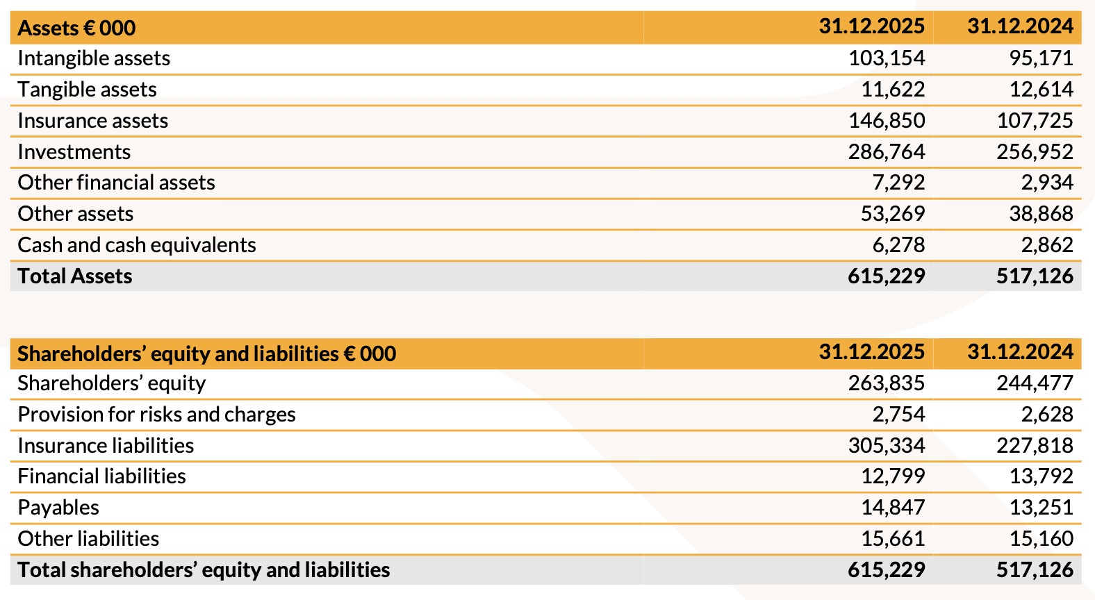 20260316 - risultati finanziari 2025 - img6