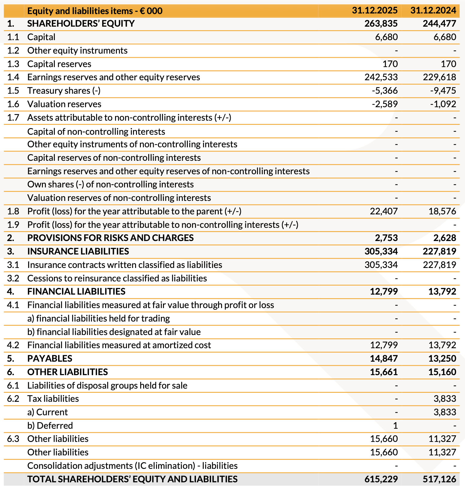 20260316 - risultati finanziari 2025 - img8